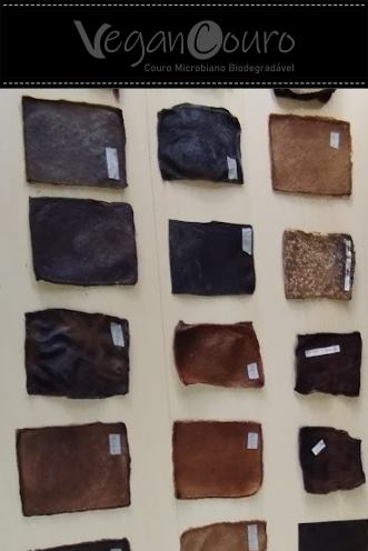 Amostras de couro microbiano em diferentes estágios de cura