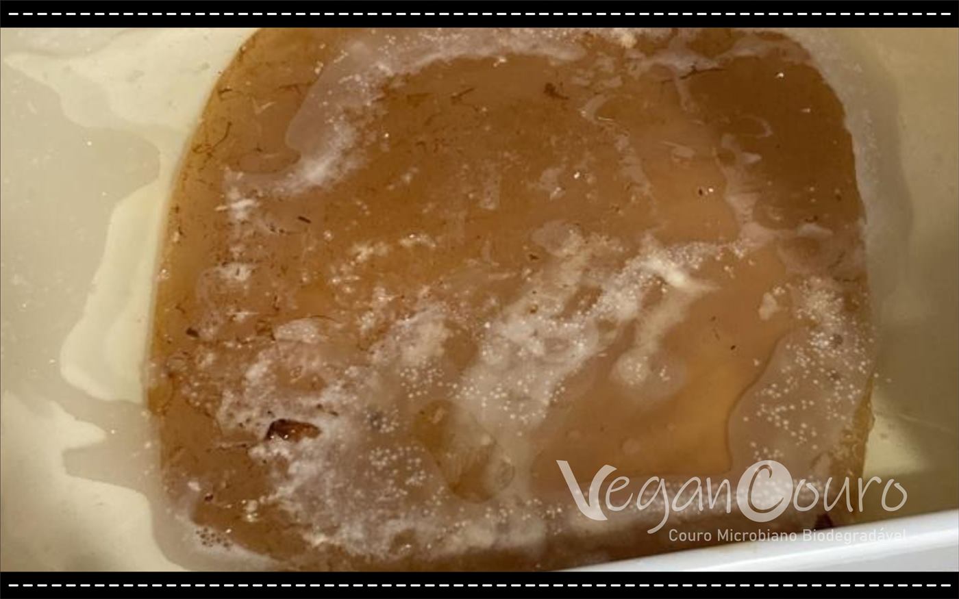 Bateria de testes de fermentacao